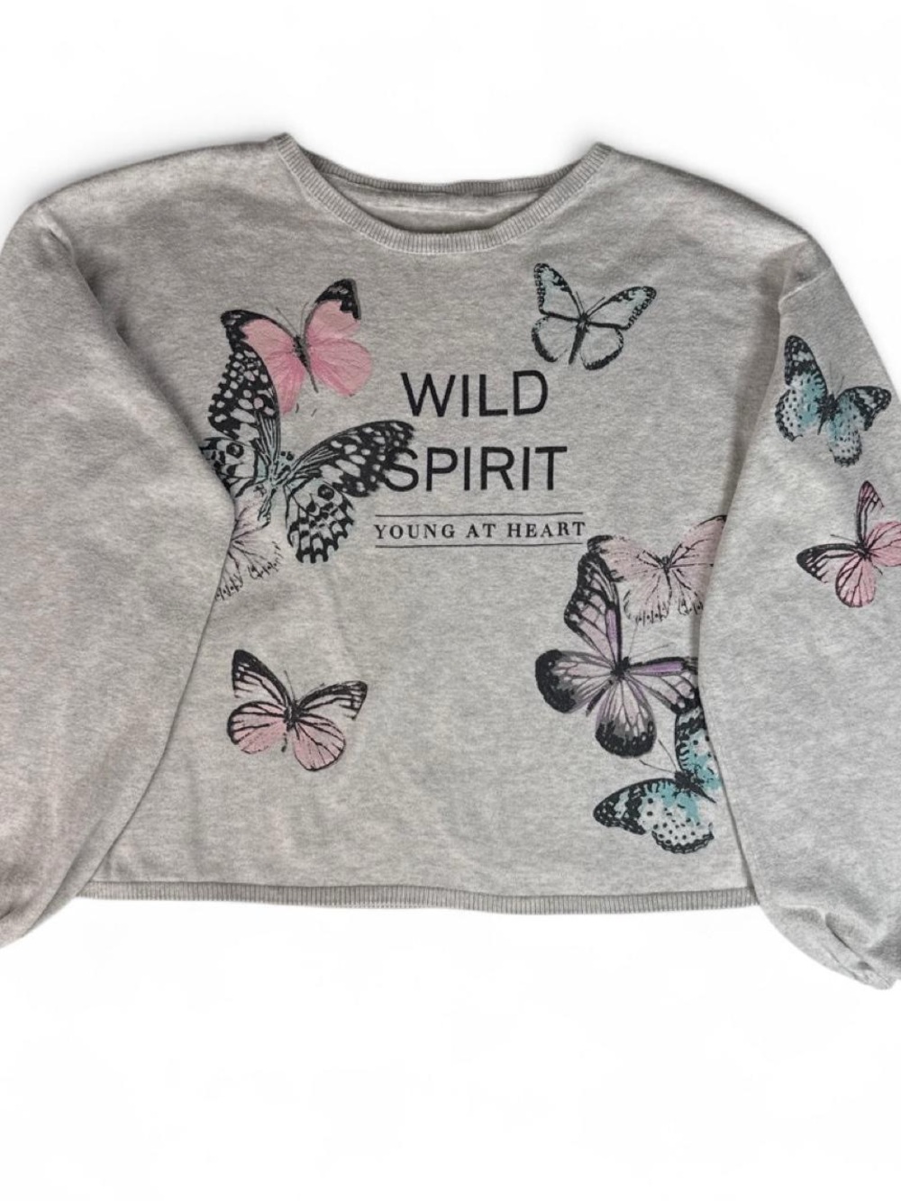 H&M Light Gray Sweatshirt with Pink and Light Blue Butterfly Prints